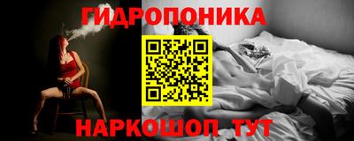 прущие грибы Донецк