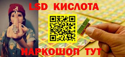 PSILOCYBIN Заволжье
