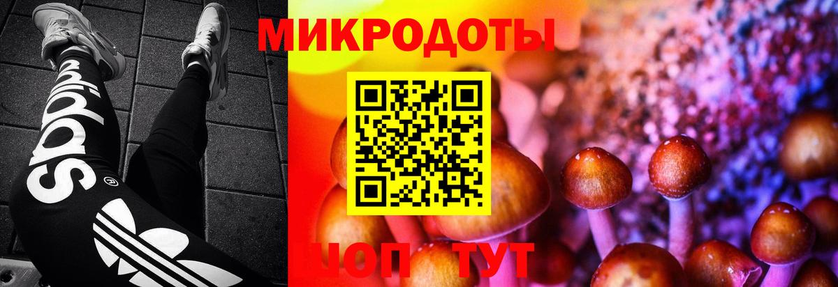 Саратов  Псилоцибиновые грибы мицелий  Псилоцибиновые грибы прущие грибы  Вход с VPN 