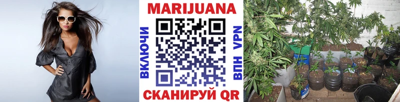 Бошки Шишки AK-47  где найти   ссылка на мегу как войти  площадка формула  Саратов 