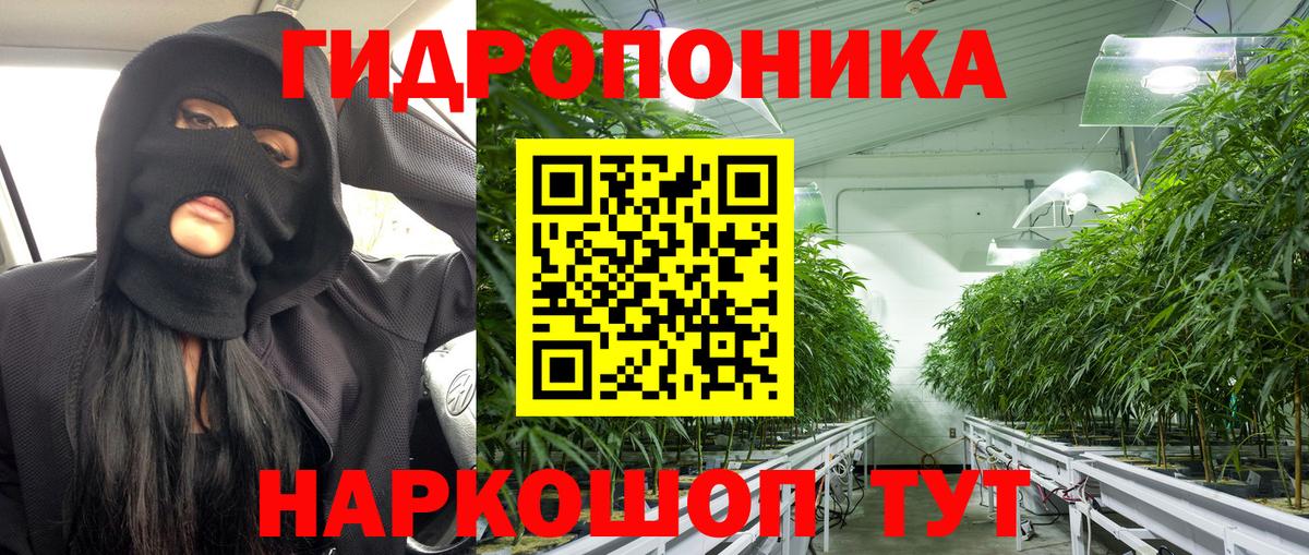 Бошки Шишки ГИДРОПОН Саратов